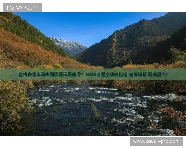 玩球对冲套利技术避坑指南彩票数字高频玩法防骗